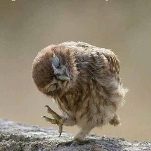 Meet your Posher, Bec